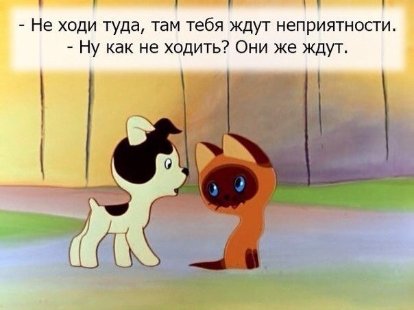 ☆   ☆ - 28  2015  17:38