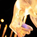  Zoran, , 56  -  26  2016    