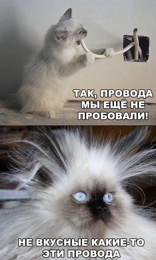  - 17  2016  17:53