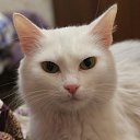 ���� ���������, ������, 75 ��� - ��������� 6 ������� 2016 � ������ ���� ����������