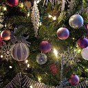 ���� ������, �����-��������� - ��������� 11 ������ 2016 � ������ ���� ����������