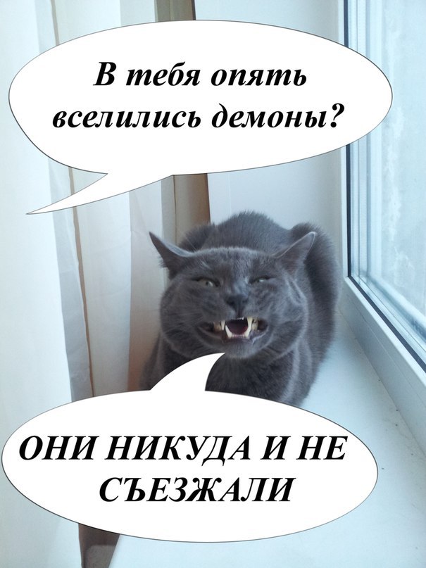       - 6  2016  07:05