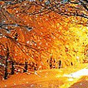 ���� Alternative, �����-��������� - ��������� 31 ������� 2015 � ������ ������ ��������