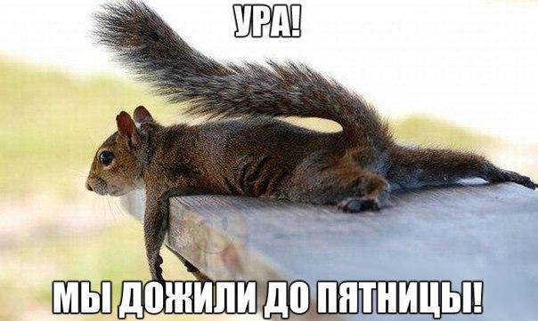 Art & Fun - 9  2015  12:39