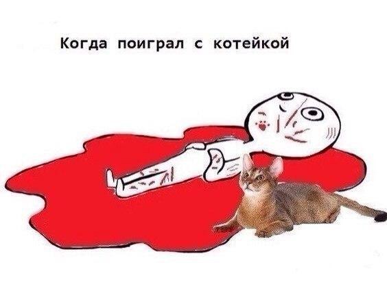    - 1  2016  14:14