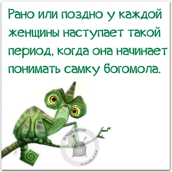 ������ ����� - 2 ����� 2016 � 23:11