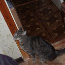 ���� ���������, ��������, 51 ��� - ��������� 27 ������ 2016 � ������ ���� ����������