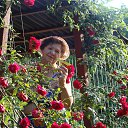 ���� ����, �����, 75 ��� - ��������� 11 ������� 2015 � ������ ���� ����������