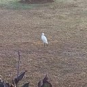 ���� �����, �����-��������� - ��������� 28 ������� 2016 � ������ ������ ��������