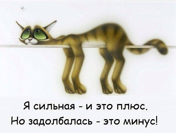  - 23  2015  07:14