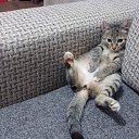 ���� ����, ������, 53 ���� - ��������� 16 ������ 2016 � ������ ���� ����������