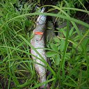 ���� ����, �������������, 58 ��� - ��������� 2 ������ 2016 � ������ ���� ����������