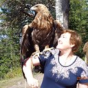 ���� �����, �����������, 59 ��� - ��������� 6 ����� 2016