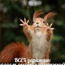 ���� ����, �������� - ��������� 1 ������ 2016 � ������ ���� ����������