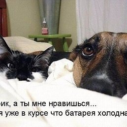 ���� ���, ������ - ��������� 29 ������� 2016