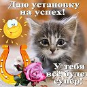 ���� ����, ������, 54 ���� - ��������� 22 ������� 2016 � ������ �������������