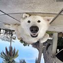 ���� Vitalka, ���� - ��������� 28 ������� 2015