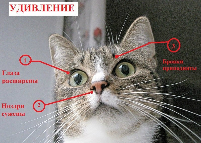    - 3