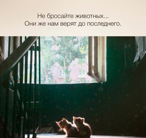  ... - 1  2015  19:49