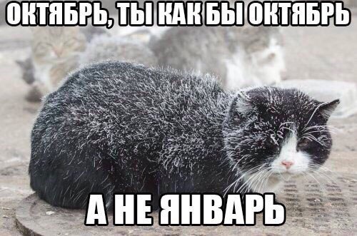     - 19  2015  11:20