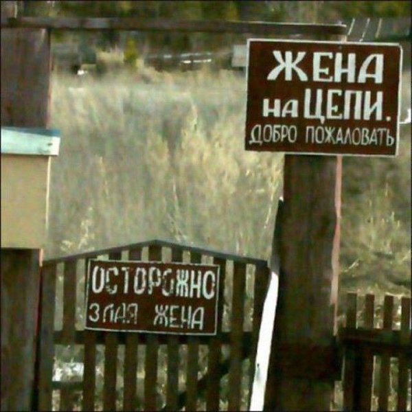  - 08.01.2016))) - 17