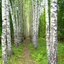 ���� �������, ���������� - ��������� 9 ������� 2015 � ������ ������ ��������