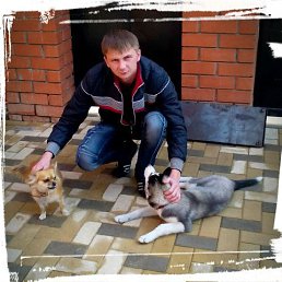 ���� ������, ��������, 37 ��� - ��������� 9 ������ 2016