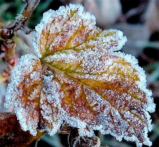 . - 31  2016  02:08 - 4