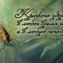  , , 58  -  11  2016    