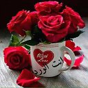  Zaki, , 48  -  29  2016    
