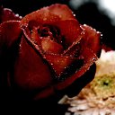 ���� ����� �����������, �����, 47 ��� - ��������� 30 ������� 2015 � ������ ���� ����������