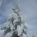 ���� ���������, ������, 52 ���� - ��������� 1 ������� 2016 � ������ ���������, ������ 2016�.�
