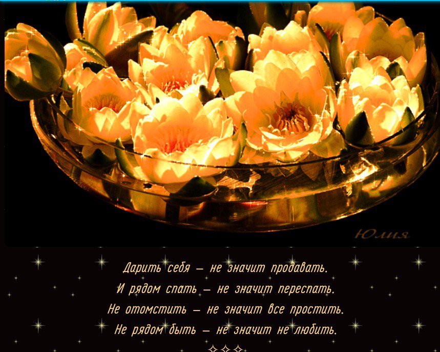 �������� - 11 ������� 2016 � 01:04