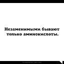 ���� �lga, ������ - ��������� 13 ������� 2015 � ������ ������ ��������