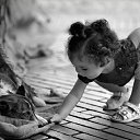 -  ,  ,     -  .- (    )    