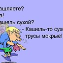 ���� ��������, �����-��������� - ��������� 14 ������� 2016 � ������ ������ ��������