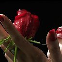 ���� ����, ������, 63 ���� - ��������� 10 ������� 2016 � ������ ���� ����������