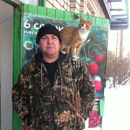 �������, ������ ��������, 51 ���