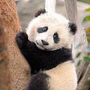 ���� ���, ���������, 44 ���� - ��������� 30 ������� 2015 � ������ ���� ����������