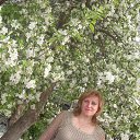 ���� �������, ��������� - ��������� 24 ������ 2016