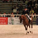 ���� ������, �����-���������, 70 ��� - ��������� 4 ������� 2015 � ������ ��� ������ �������� � �����-����������