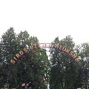  .   2015     