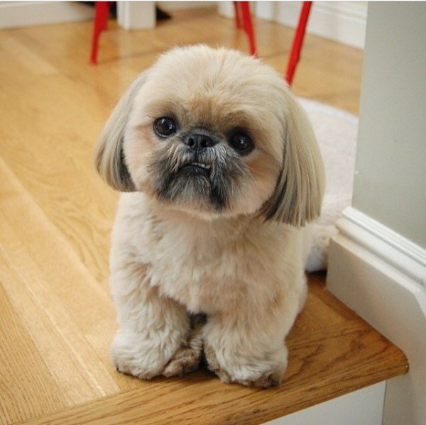 ������ ������ - 2 ������� 2015 � 15:53