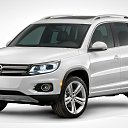 ���� �����, ���, 50 ��� - ��������� 12 ������ 2016 � ������ ���� ����������