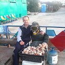 ���� �����, �����������, 39 ��� - ��������� 27 �������� 2015 � ������ �������� ������