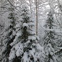 ���� ��������, ��������, 68 ��� - ��������� 16 ������ 2016 � ������ ��������