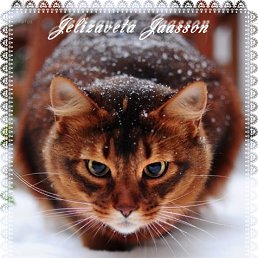 Jelizaveta, ������, 28 ���