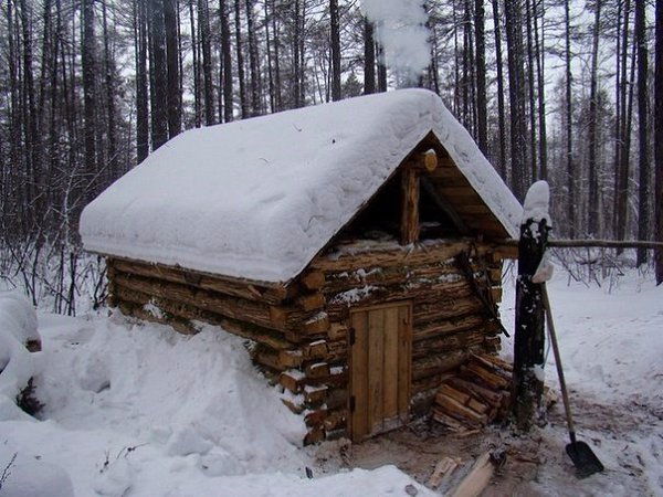 Зимовье зима лес