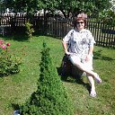  , , 55  -  10  2015     .