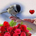 ���� �������, �����, 64 ���� - ��������� 19 ������� 2015 � ������ ������ ��������